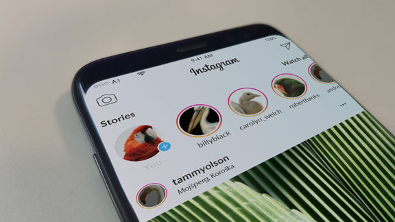 Instagram story primer